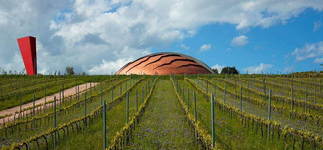 Купол в форме черепахи на винодельне Тенута Кастельбуоно в Умбрии.&nbsp;