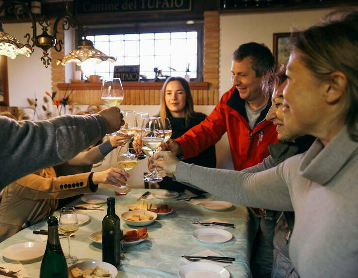 Дегустация вина на семейной винодельне рядом с Римом: дегустации местных продуктов.